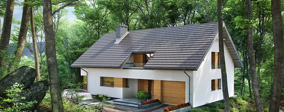 Projekty Domów Jednorodzinnych: Projekt Domu Woodland